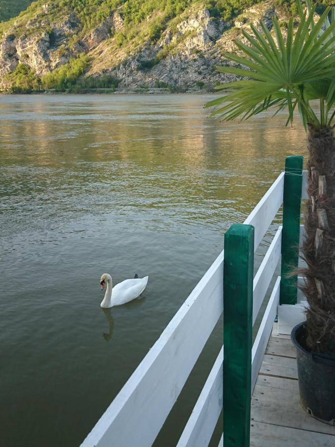 Apartman Barka Golubac Luaran gambar