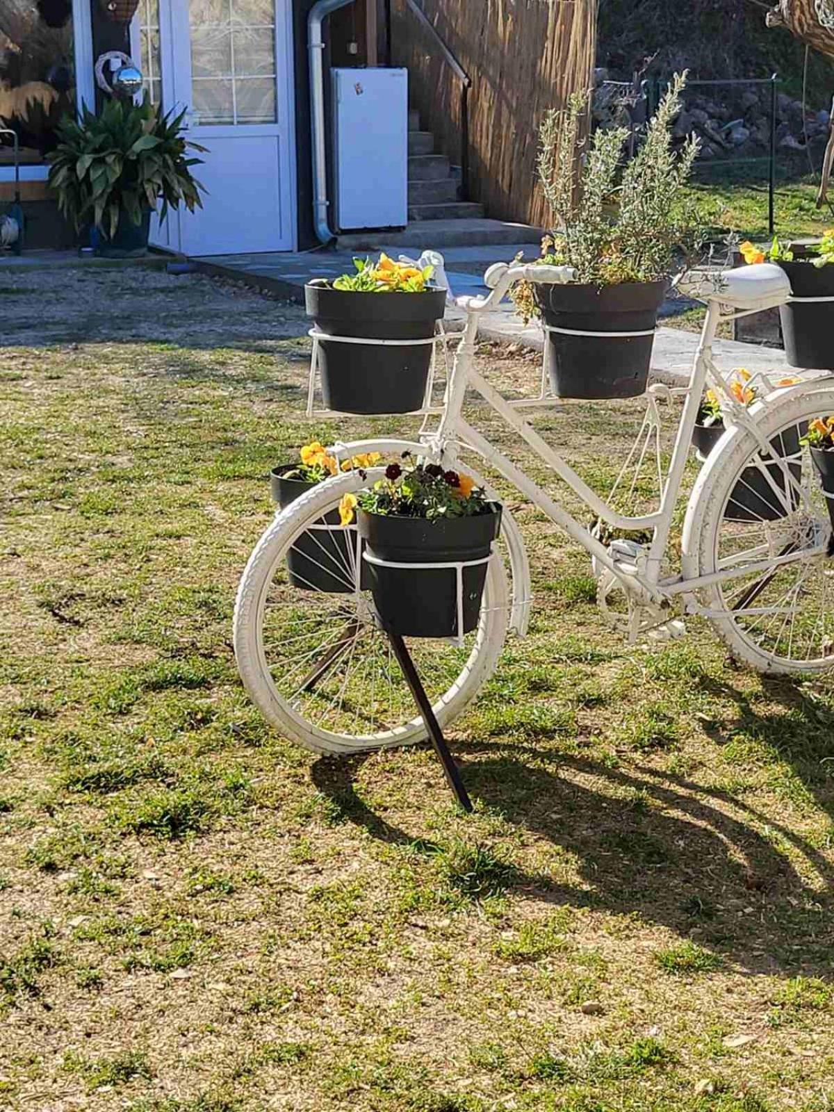 Apartman Barka Golubac Luaran gambar